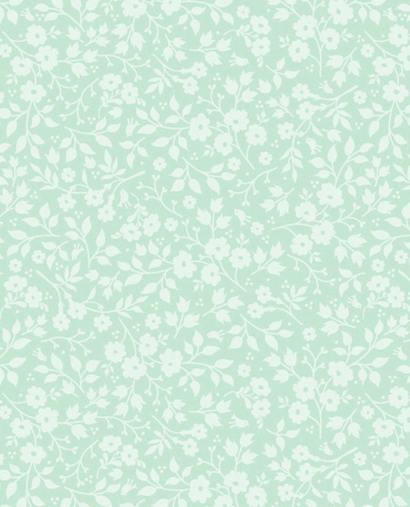 Afbeeldingen van PIP 2014 - 341064