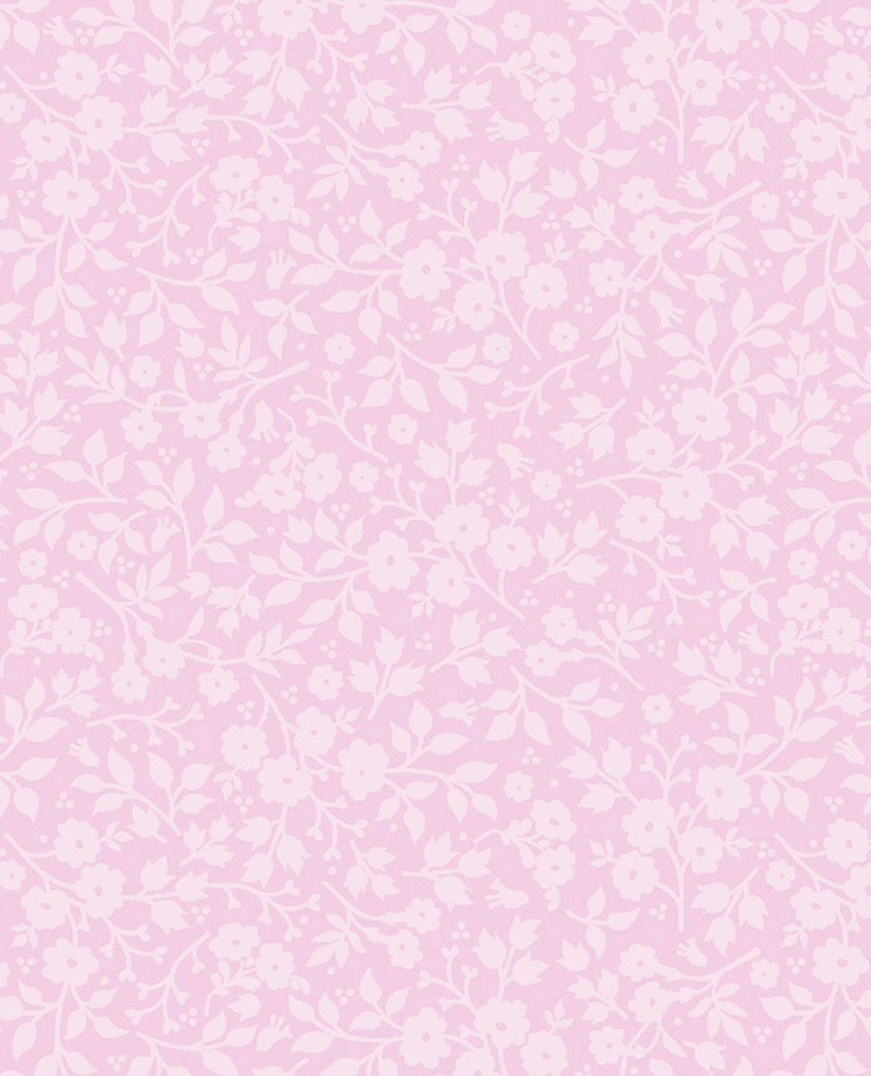 Picture of PIP 2014 - 341063