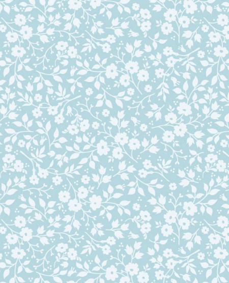 Picture of PIP 2014 - 341061