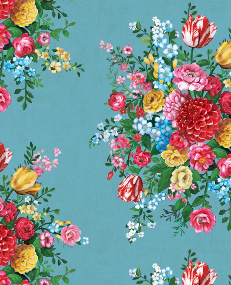 Image de PIP 2014 - 341045