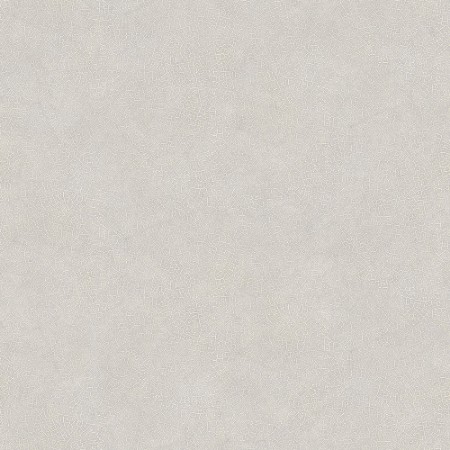 Image de Evergreen - 7331