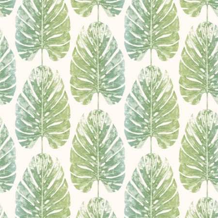 Image de Evergreen - 7326