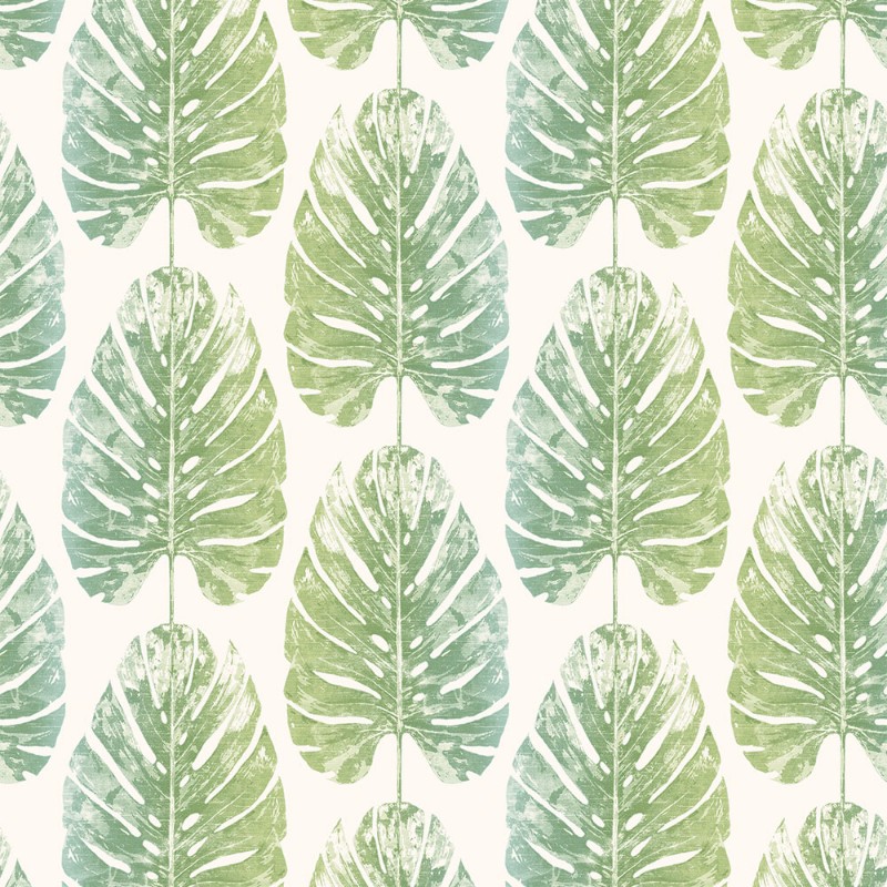 Image de Evergreen - 7326