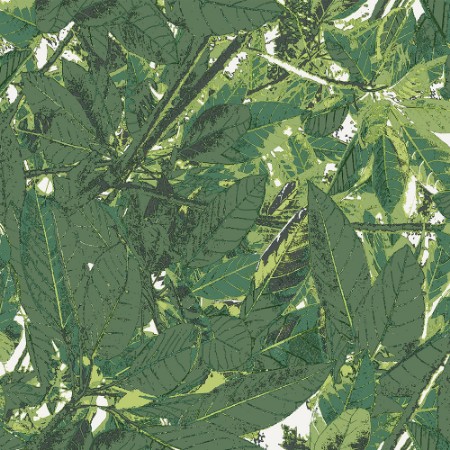 Picture of Belle - 5337-3