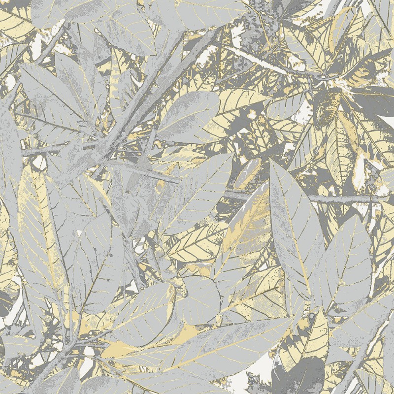 Picture of Belle - 5337-1