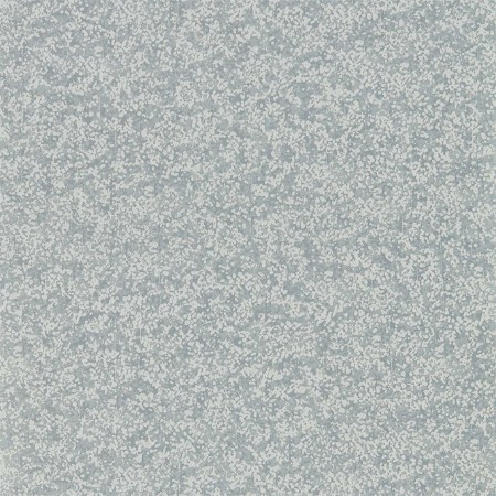 Picture of Coral - EANV111871