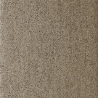 Picture of Igneous - EANT111141