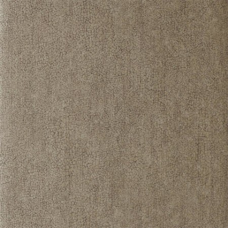 Picture of Igneous - EANT111141