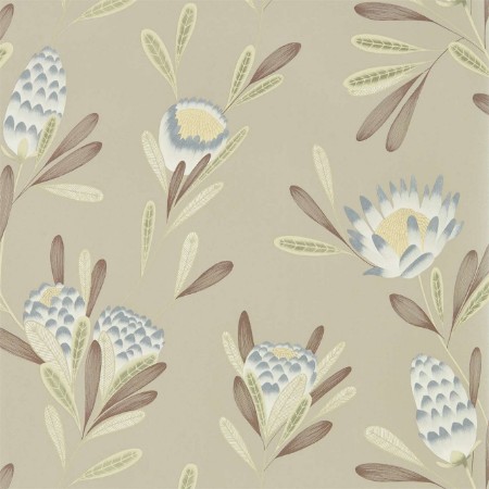 Picture of Cayo - HZAP111772