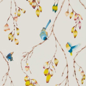 Image de Iyanu Papaya/Kiwi - HZAP111770