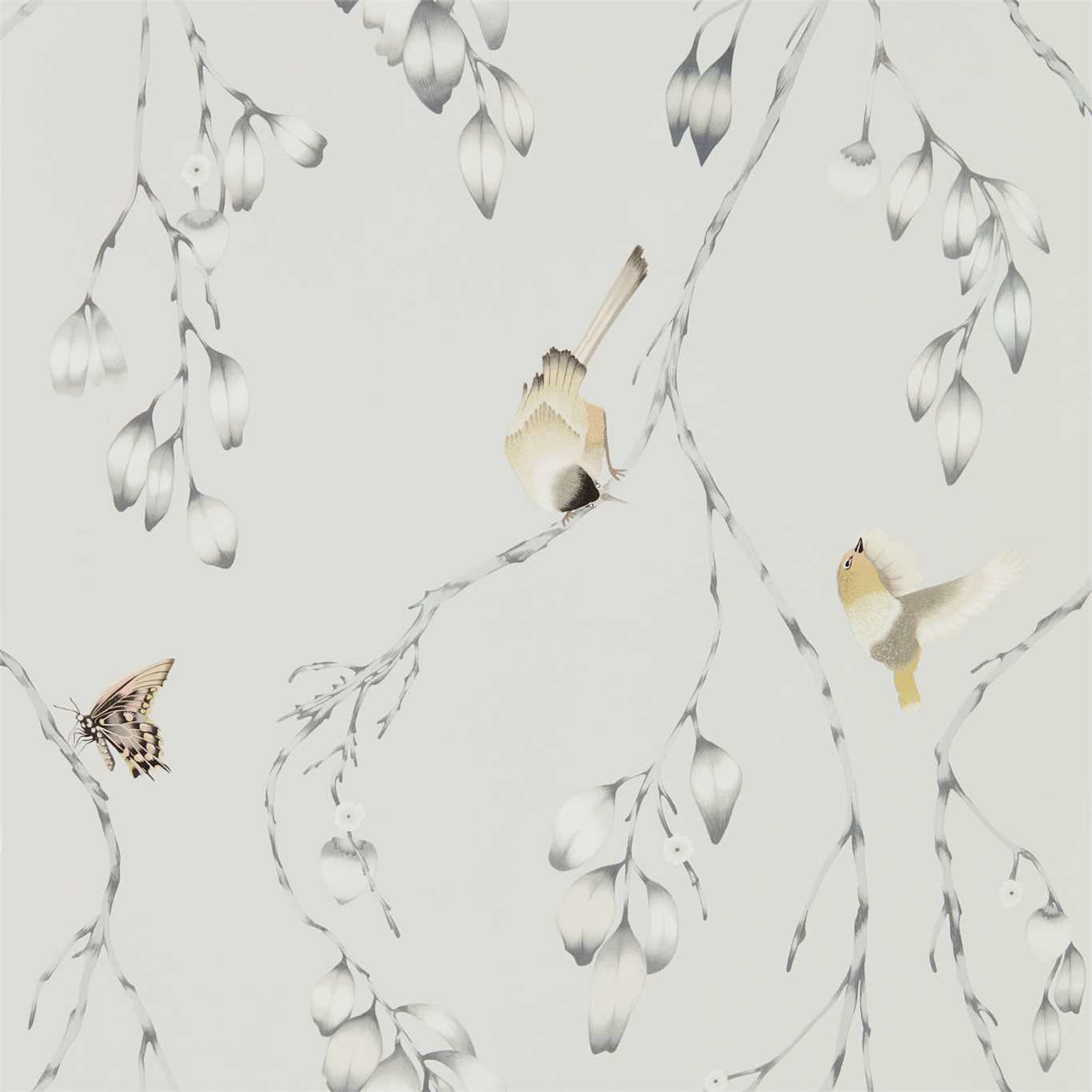 Снимка на Iyanu - HZAP111768