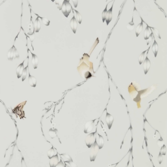 Afbeeldingen van Iyanu - HZAP111768