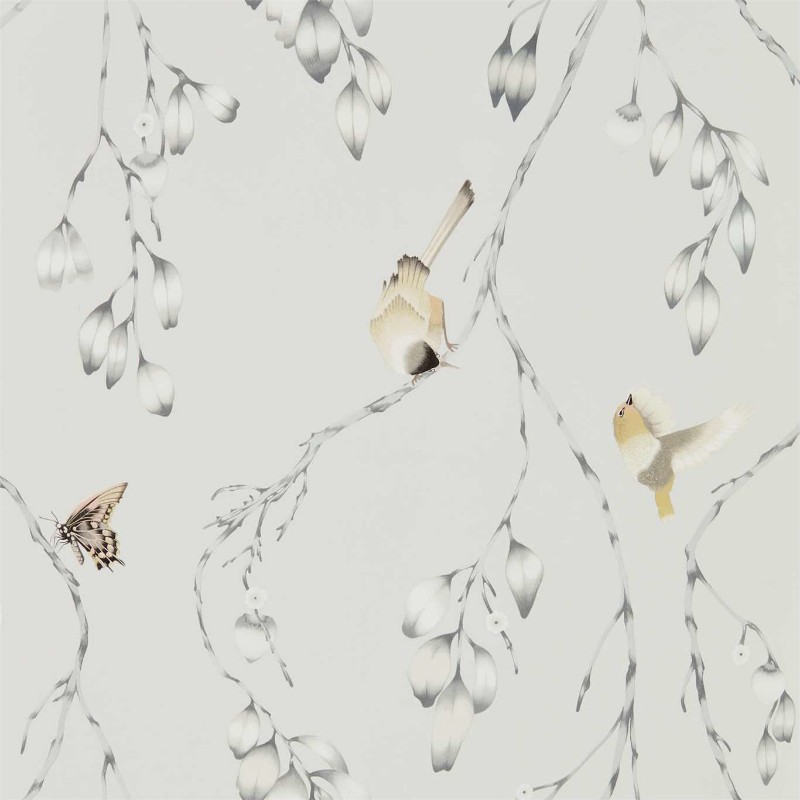 Picture of Iyanu - HZAP111768