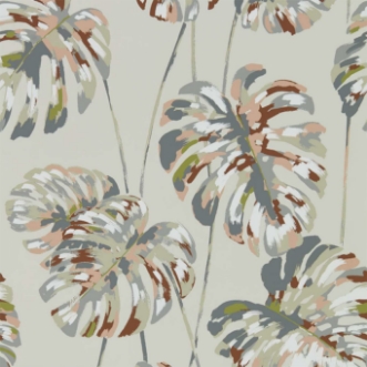 Afbeeldingen van Kelapa - HZAP111754