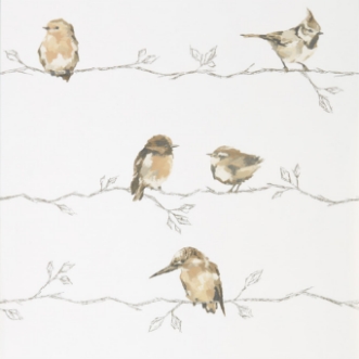 Image de Persico - HSTO111484