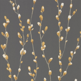 Bild på Salice - HSTO111468