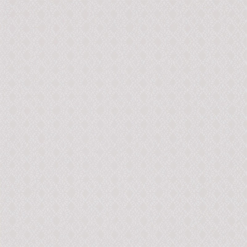 Image de Ammi - HWHI111204