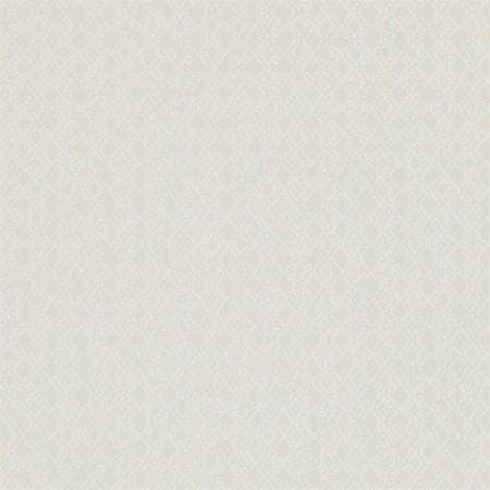 Picture of Ammi - HWHI111201