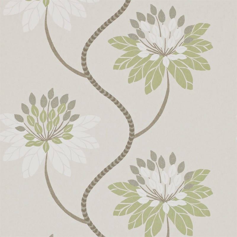 Image de Eloise - HWHI111189