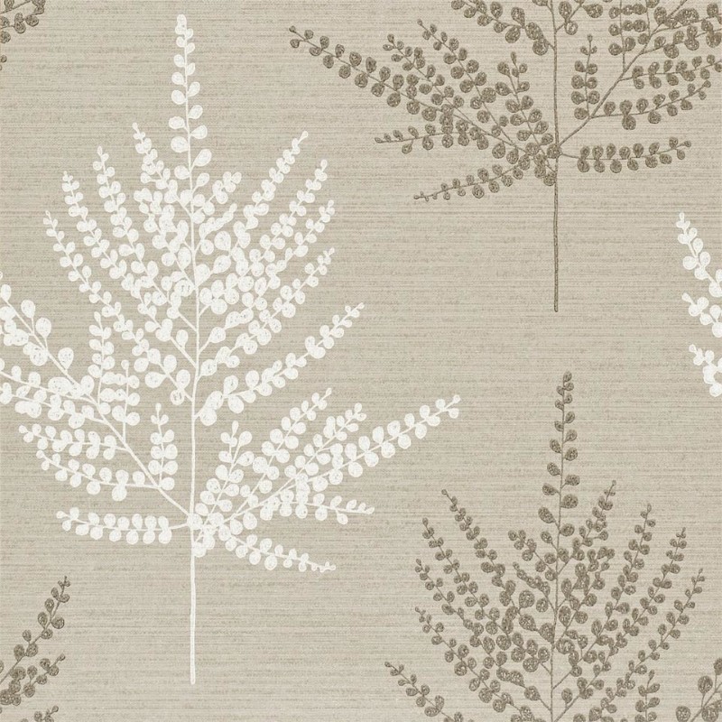 Picture of Folium - HPOW110590