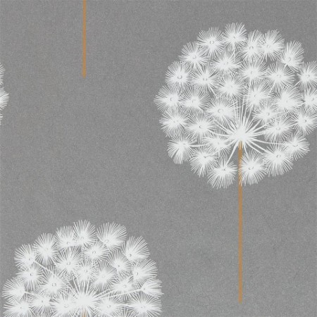 Picture of Amity - HPUT111888