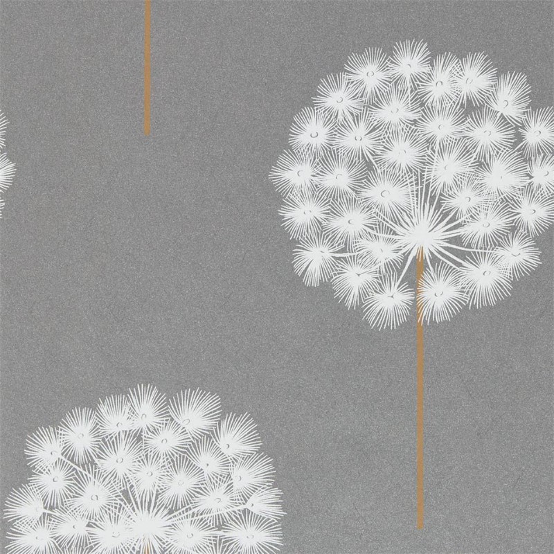 Picture of Amity - HPUT111888