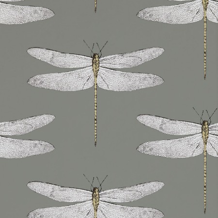 Image de Demoiselle - HGAT111242