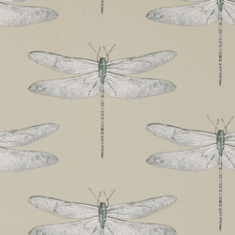 Picture of Demoiselle - HGAT111241