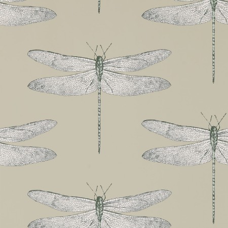 Bild på Demoiselle - HGAT111241