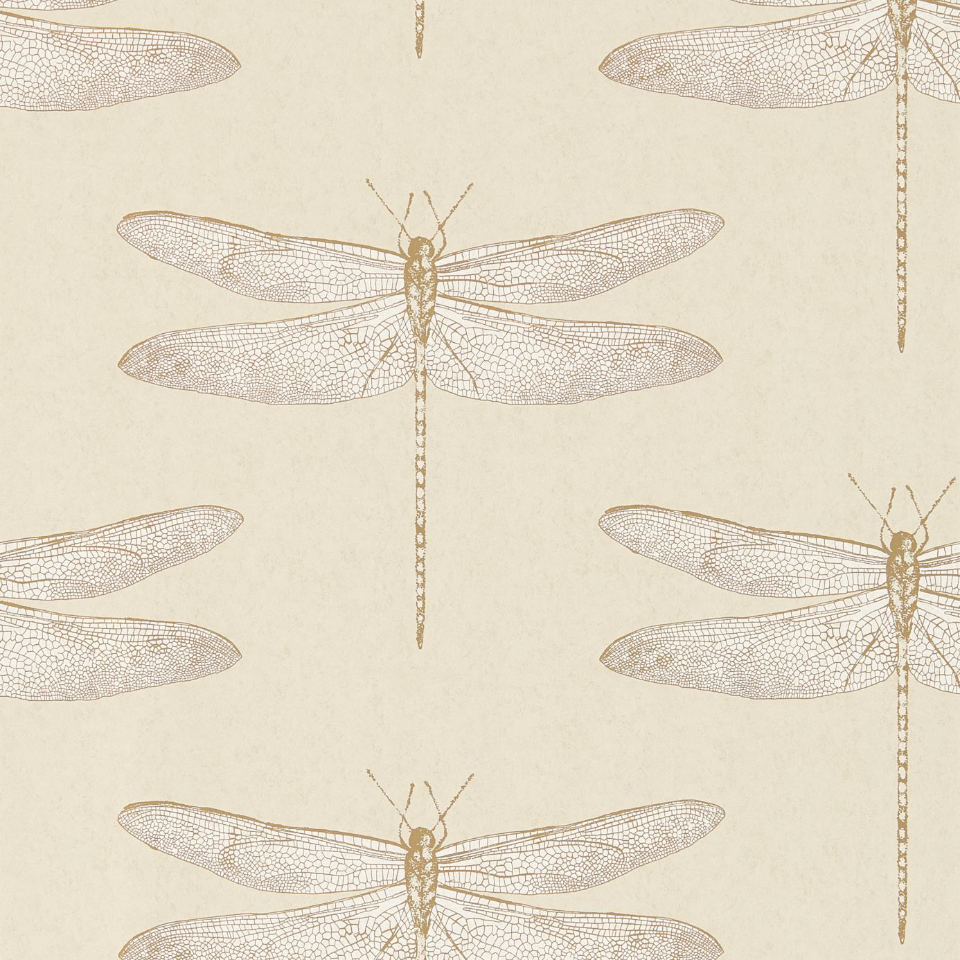 Bild på Demoiselle - HGAT111239