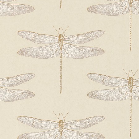 Picture of Demoiselle - HGAT111239