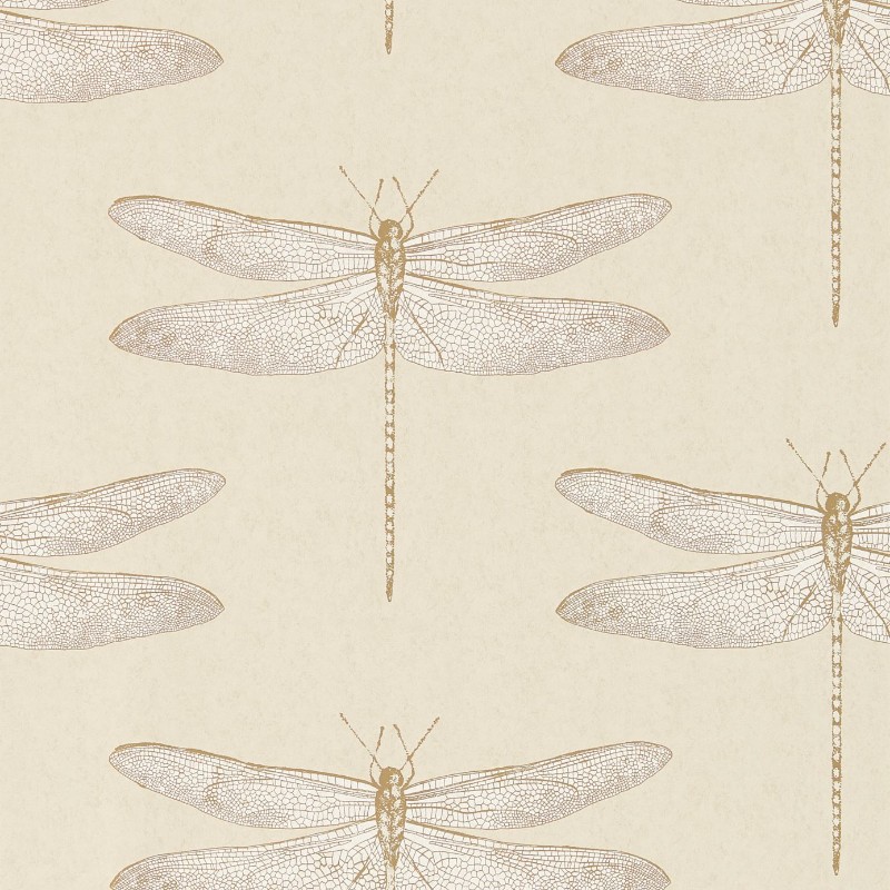 Picture of Demoiselle - HGAT111239