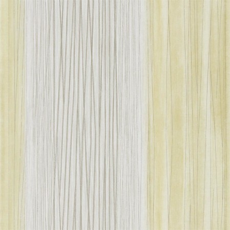 Image de Zenia - HMFW111568