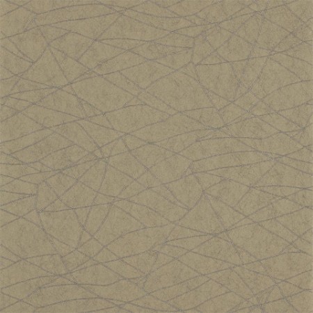 Picture of Koto - HMOW110896