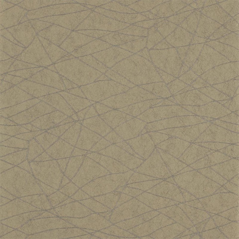 Picture of Koto - HMOW110896