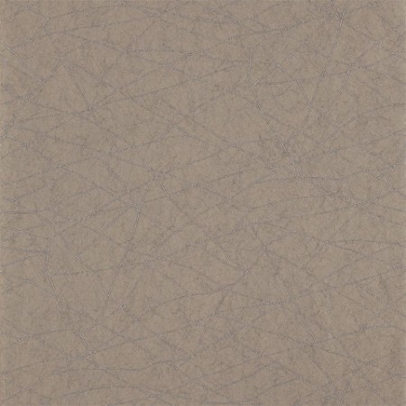 Picture of Koto - HMOW110895