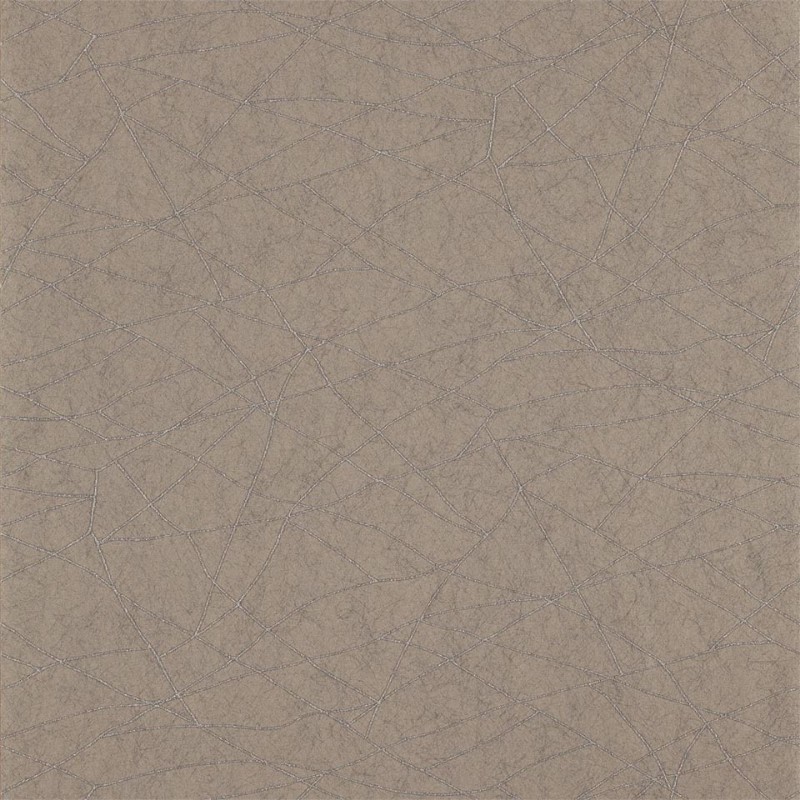 Picture of Koto - HMOW110895