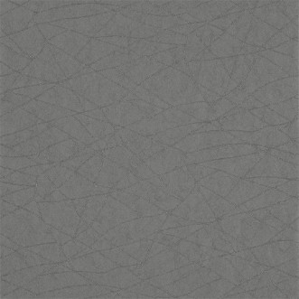 Picture of Koto - HMOW110894