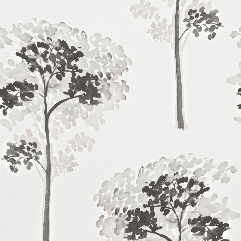 Image de Katsura - HMOW110890