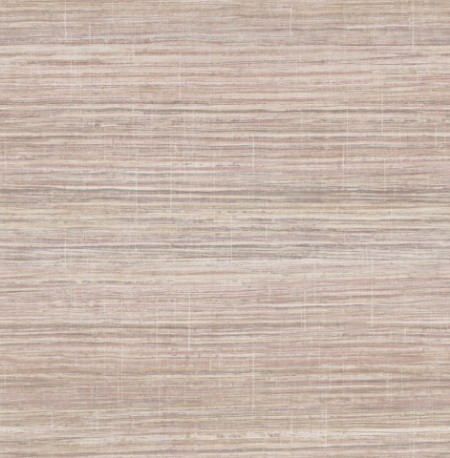 Picture of Maui Maui - TP81411