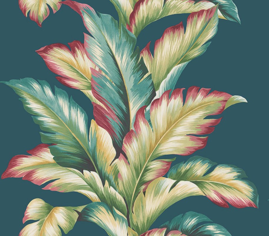 Picture of Maui Maui - TP81214