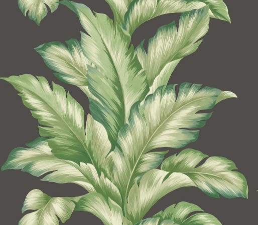 Picture of Maui Maui - TP81200