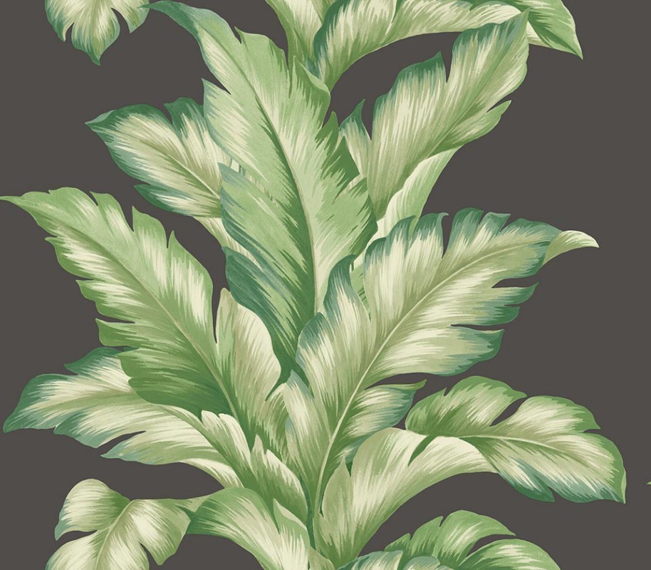 Picture of Maui Maui - TP81200