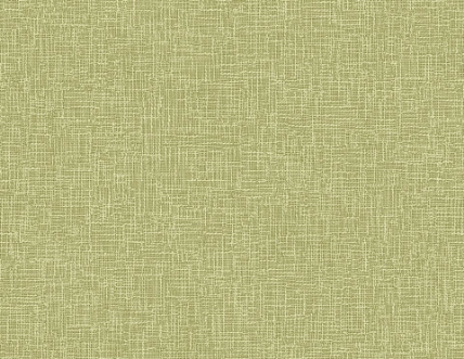 Picture of Maui Maui - TP81100