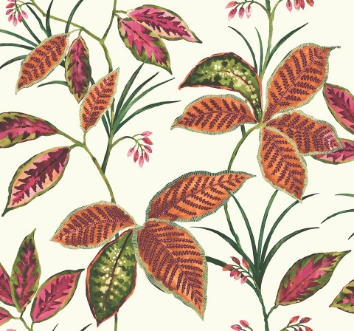 Picture of Maui Maui - TP80810