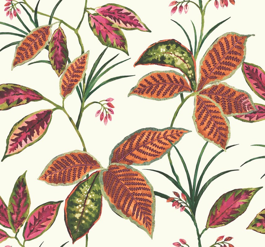 Picture of Maui Maui - TP80810