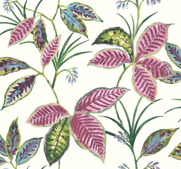 Picture of Maui Maui - TP80801