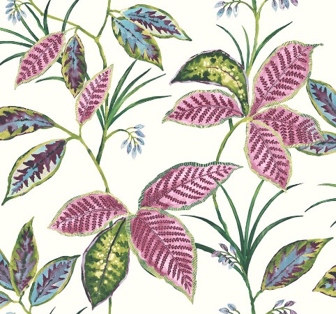 Picture of Maui Maui - TP80801