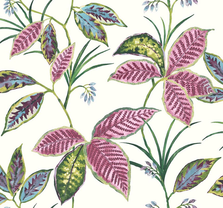 Picture of Maui Maui - TP80801