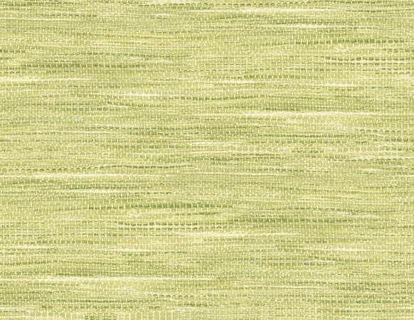 Picture of Maui Maui - TP80104